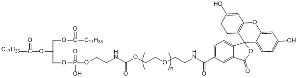 DSPE-PEG-FITC(图1)