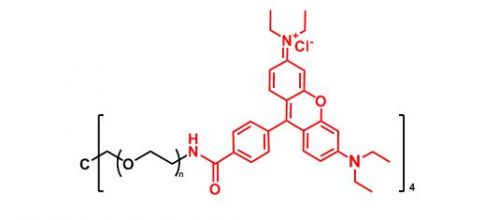 四臂聚乙二醇罗丹明 4ARM-PEG-Rhodamine(图1)