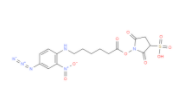 Sulfo-SANPAH Crosslinker(图1)