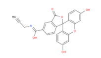 FAM alkyne,5-isomer(图1)