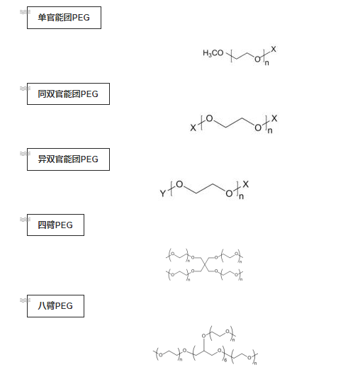 PEG衍生物分类及常见PEG修饰通式