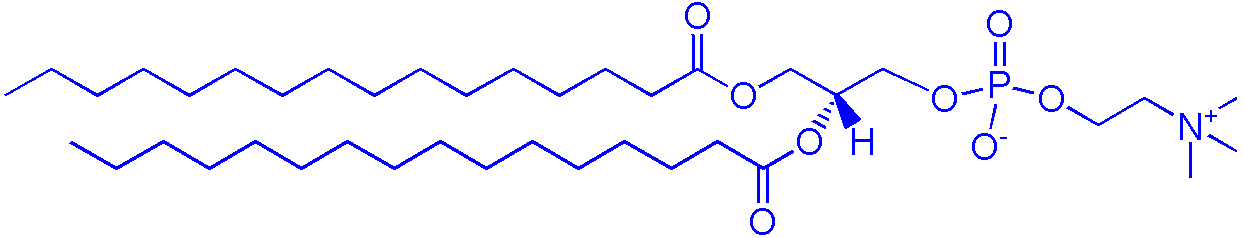 63-89-8，DPPC（1,2-二棕榈酰-sn-甘油-3-磷酰胆碱）(图1)