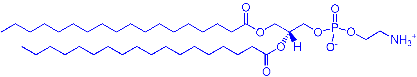 816-94-4，DSPC（1,2-二硬脂酰基-sn-丙三基-3-磷酸胆碱）(图1)